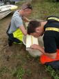 IMG-20170725-WA0008