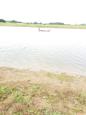 IMG-20170725-WA0010